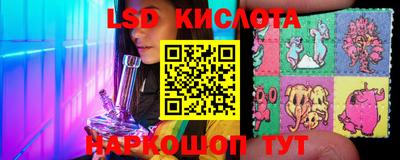 spice Гатчина