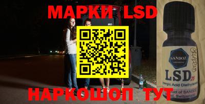 spice Гатчина