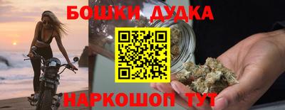 spice Гатчина