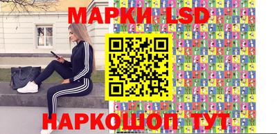 spice Гатчина