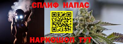 spice Гатчина
