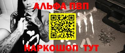spice Гатчина