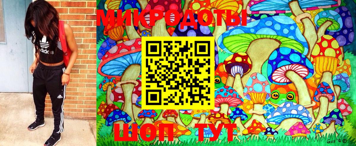 Галлюциногенные грибы Cubensis Ногинск