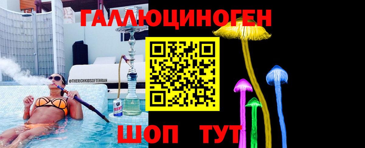 Ногинск  Псилоцибиновые грибы MAGIC MUSHROOMS  Вход с VPN 
